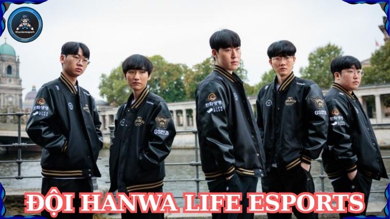 Đội Hanwha Life Esports: Ngôi sao đang lên của LCK Hàn Quốc