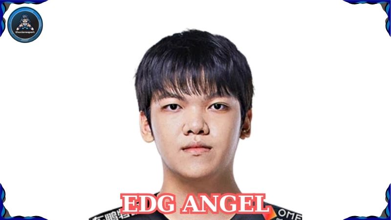 EDG Angel – Tài năng trẻ Liên Minh Huyền Thoại sáng giá trong khu vực LPL