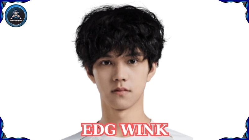 EDG Wink: Hỗ trợ tài năng của đội tuyển nổi tiếng giải đấu LPL Trung Quốc