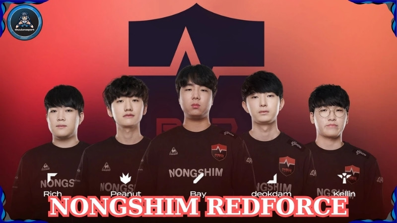 Nongshim Redforce - Hành trình khẳng định những tài năng trẻ