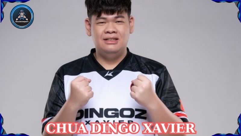 CHUA Dingo Xavier – Tên Tuổi Bùng Nổ Trong Làng PUBG Mobile